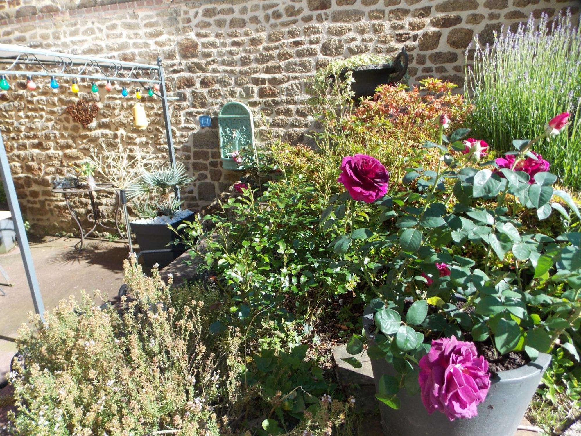 La Vie De Chateau En Toute Amitie Et Simplicite Montaudin Extérieur photo